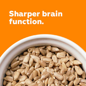 Combo of Sunflower Seeds & Pumpkin Seeds