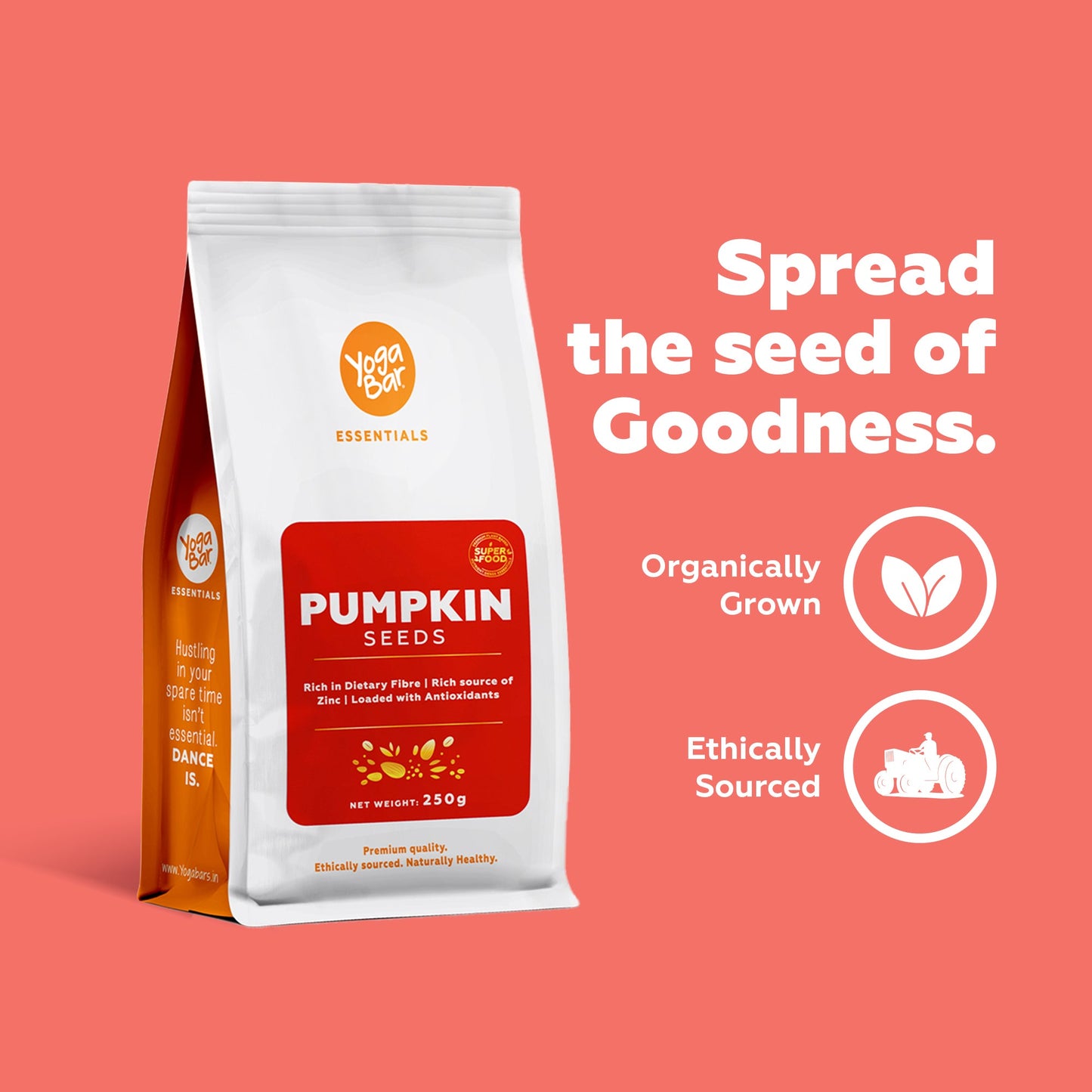 Pumpkin Seeds