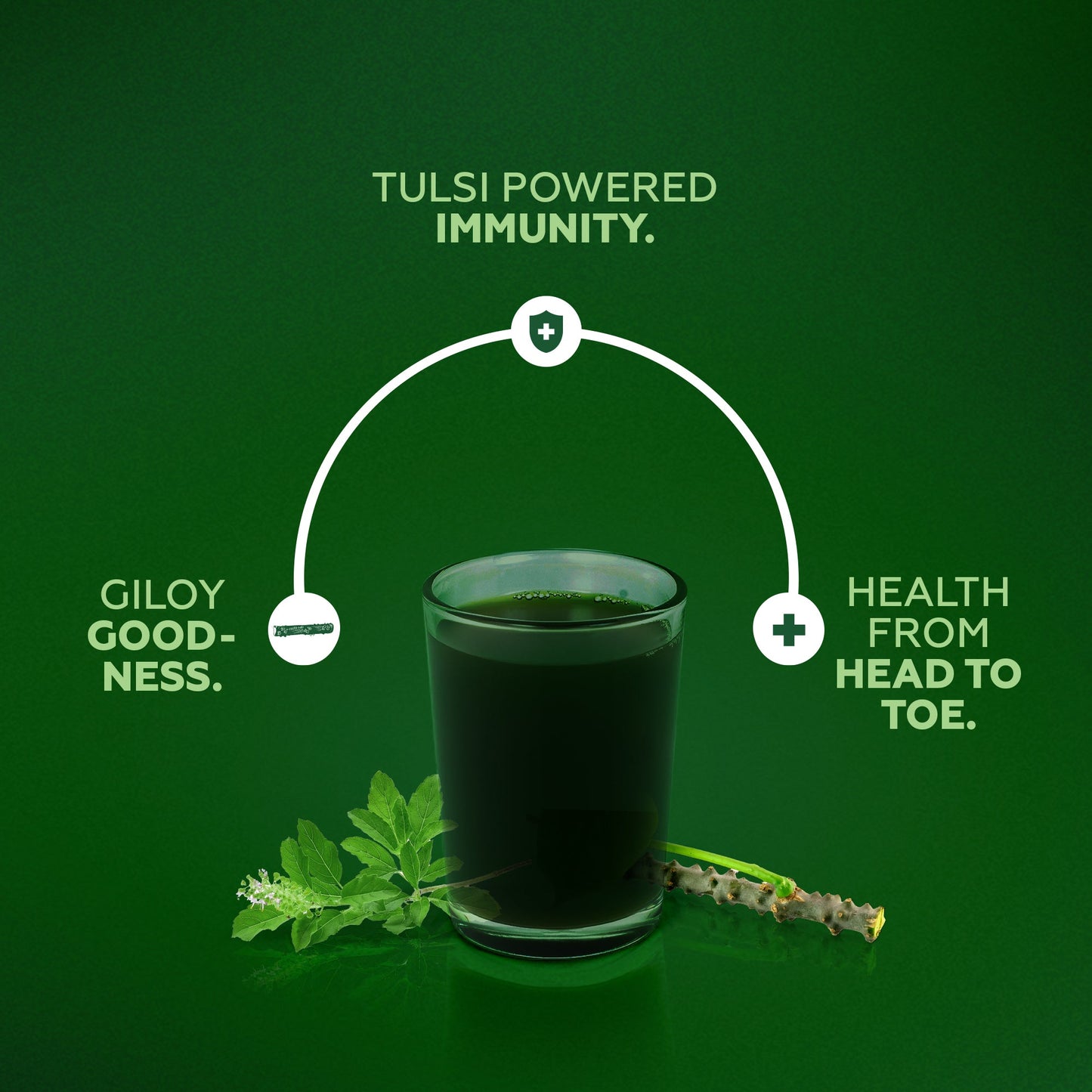 Tulsi Giloy Juice