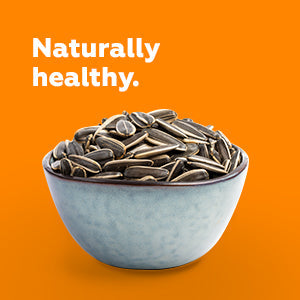 Combo of  Sunflower Seeds & Pumpkin Seeds